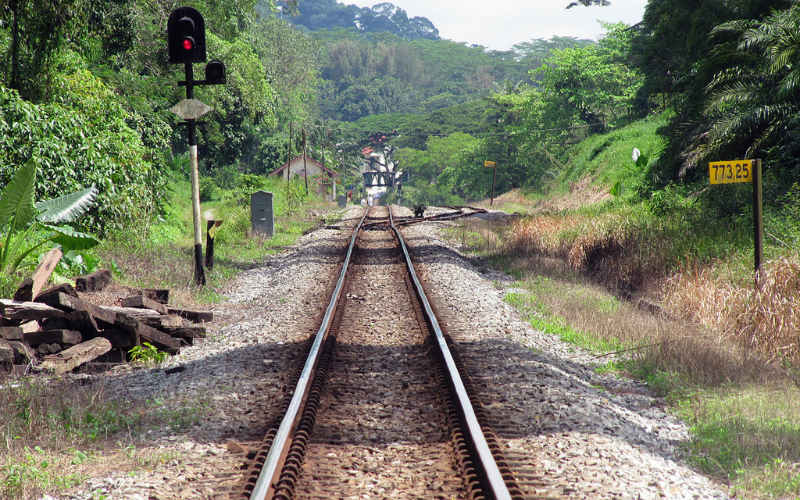 Off The Beaten Path: 4 Unexpected Hiking Tails In Singapore