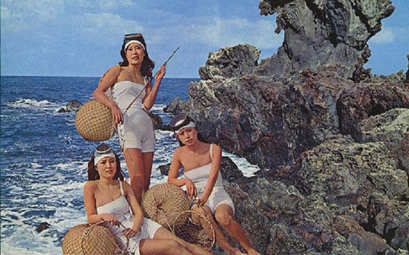 Want To Dive With Mermaids In South Korea?