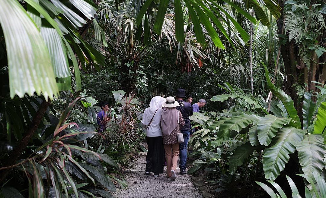 Embrace Two Decades of Nature and Culture at 'Spice Out!'