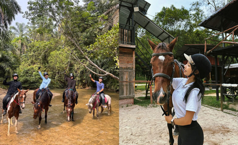 Horsing Around: 10 Horse Riding Schools In KL & Selangor For Beginners And Beyond