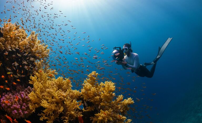 11 Conservation Volunteer Programmes In Malaysia For Meaningful Travel