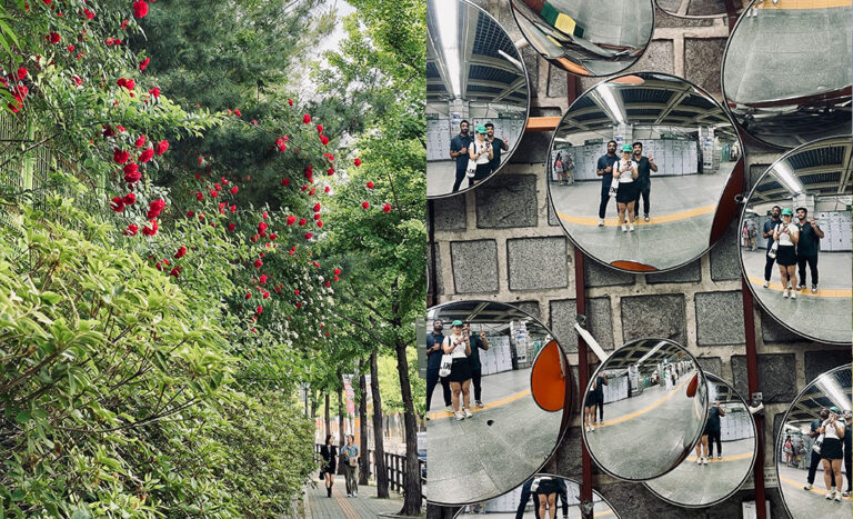 “Could I Actually Live Here?”: Why We Fall In Love With Cities We Visit