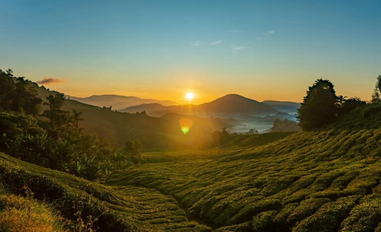 What Travellers Need To Know About Malaysia’s Super El Niño Forecast