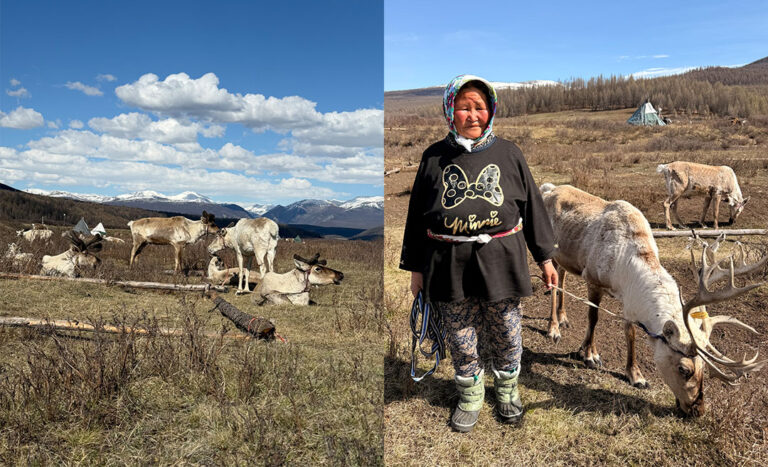 The Women Who Keep Mongolia’s Taiga Moving