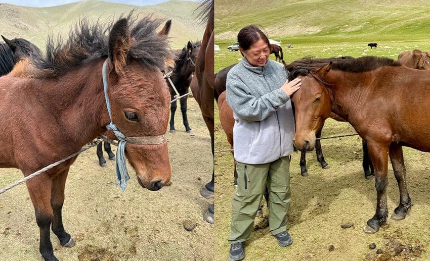 Lynette Yee smiling while petting a horse amidst a herd of horses in the open pastures of the Gobi.