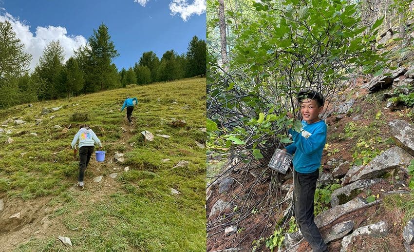 Lynette Yee following Mongolian host children as they hike up a grassy hill to go berry picking in the Gobi countryside.