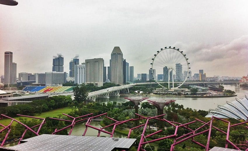 View of the Singapore Flyer giant observation wheel framed by the Supertree structures at Gardens by the Bay.
